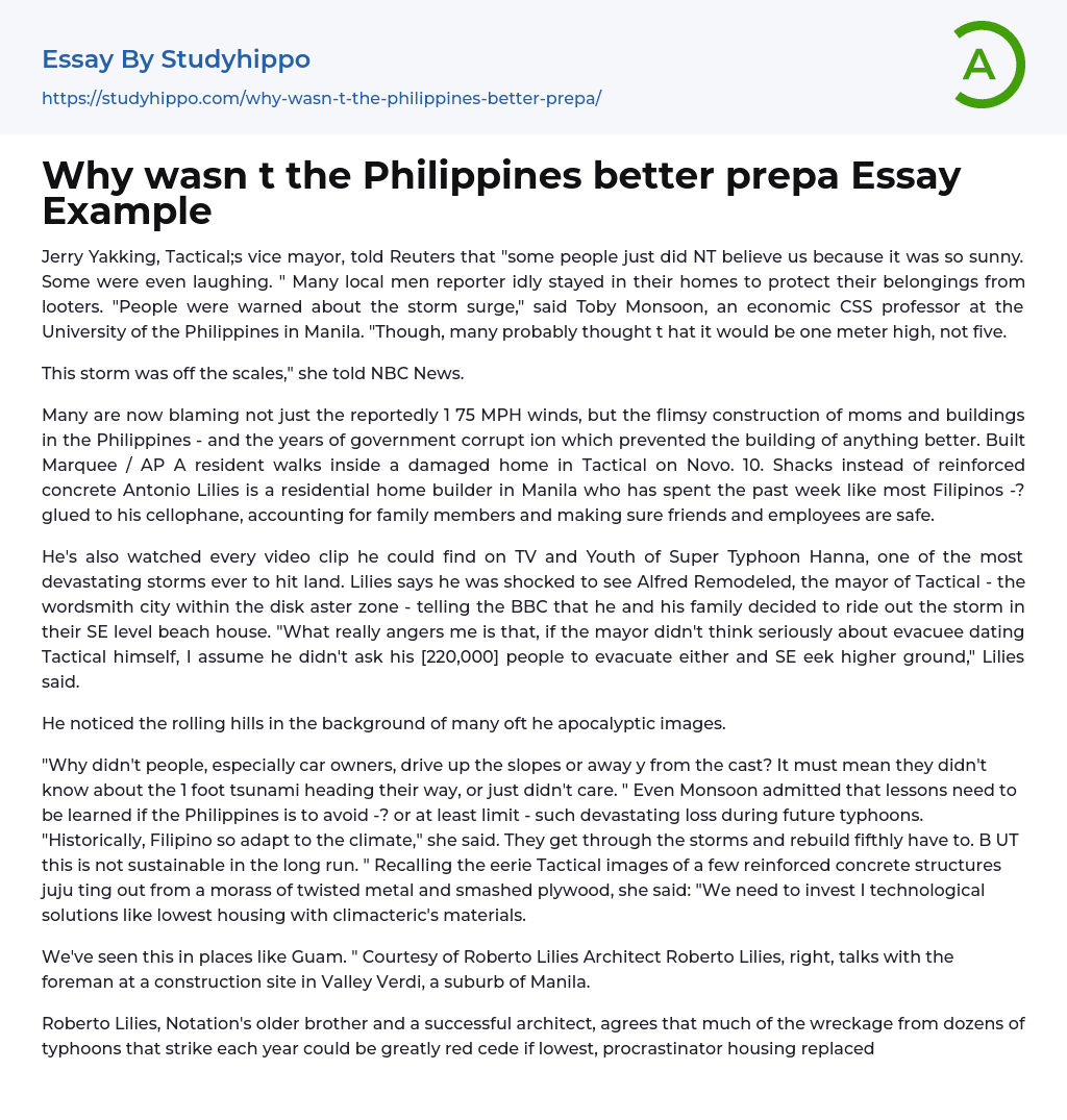 Why wasn t the Philippines better prepa Essay Example
