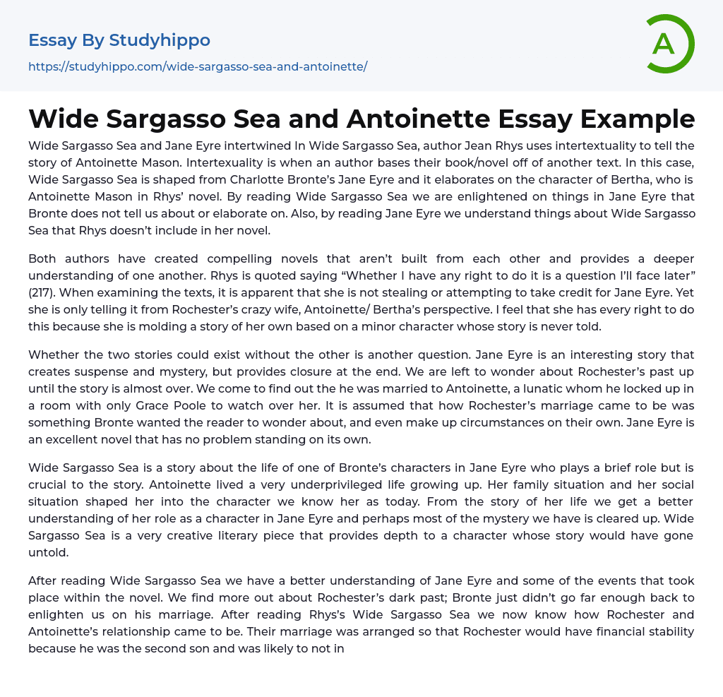Wide Sargasso Sea and Antoinette Essay Example