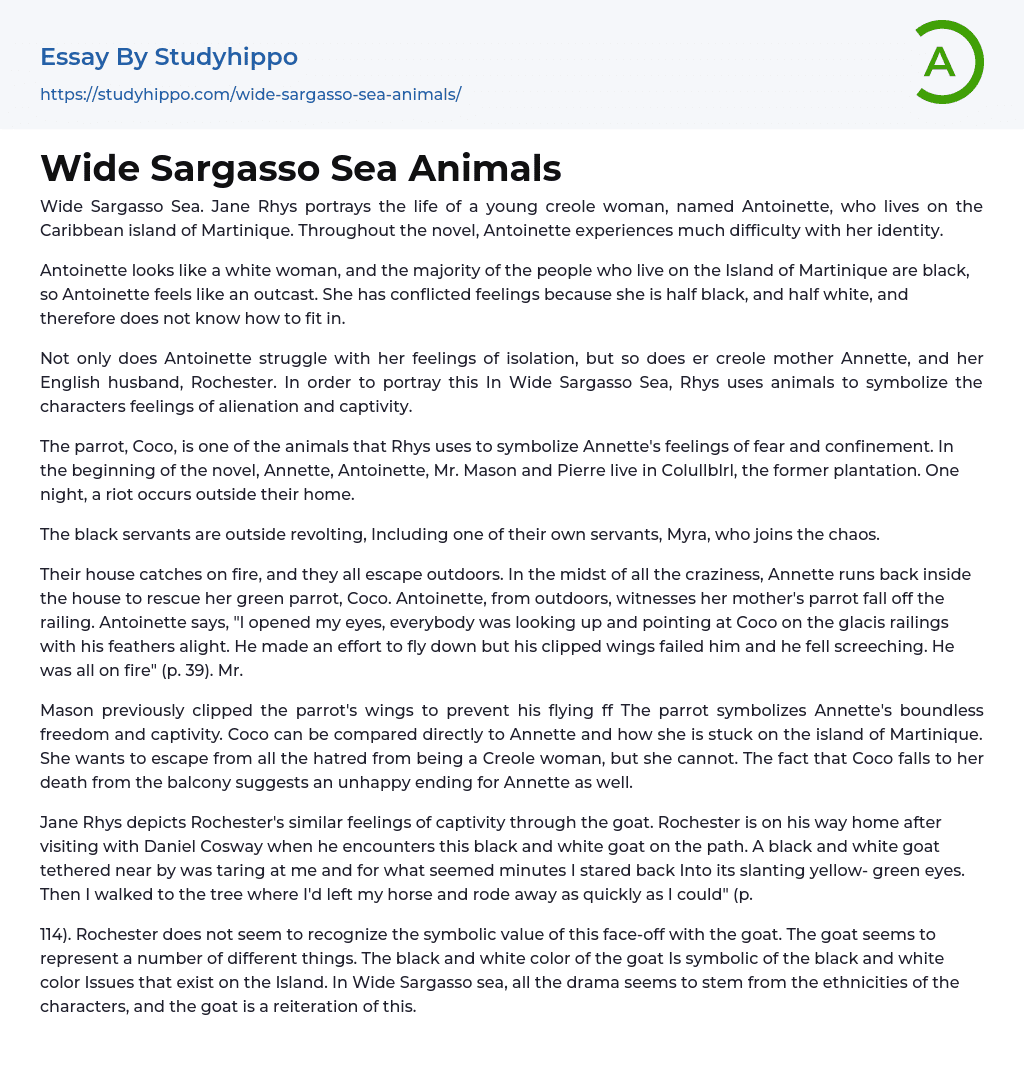 Wide Sargasso Sea Animals Essay Example