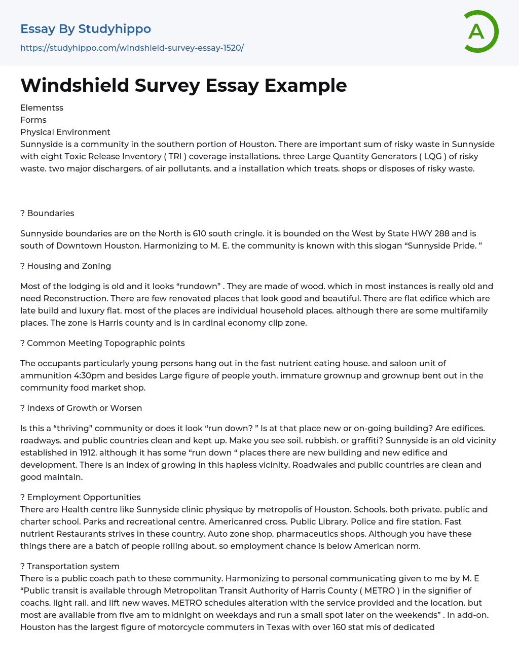 Windshield Survey Essay Example