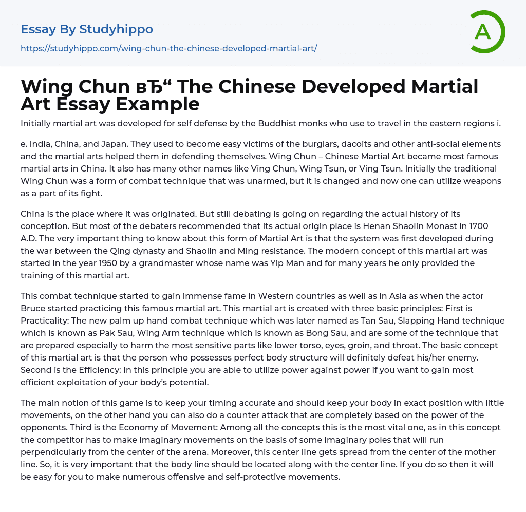 Wing Chun The Chinese Developed Martial Art Essay Example