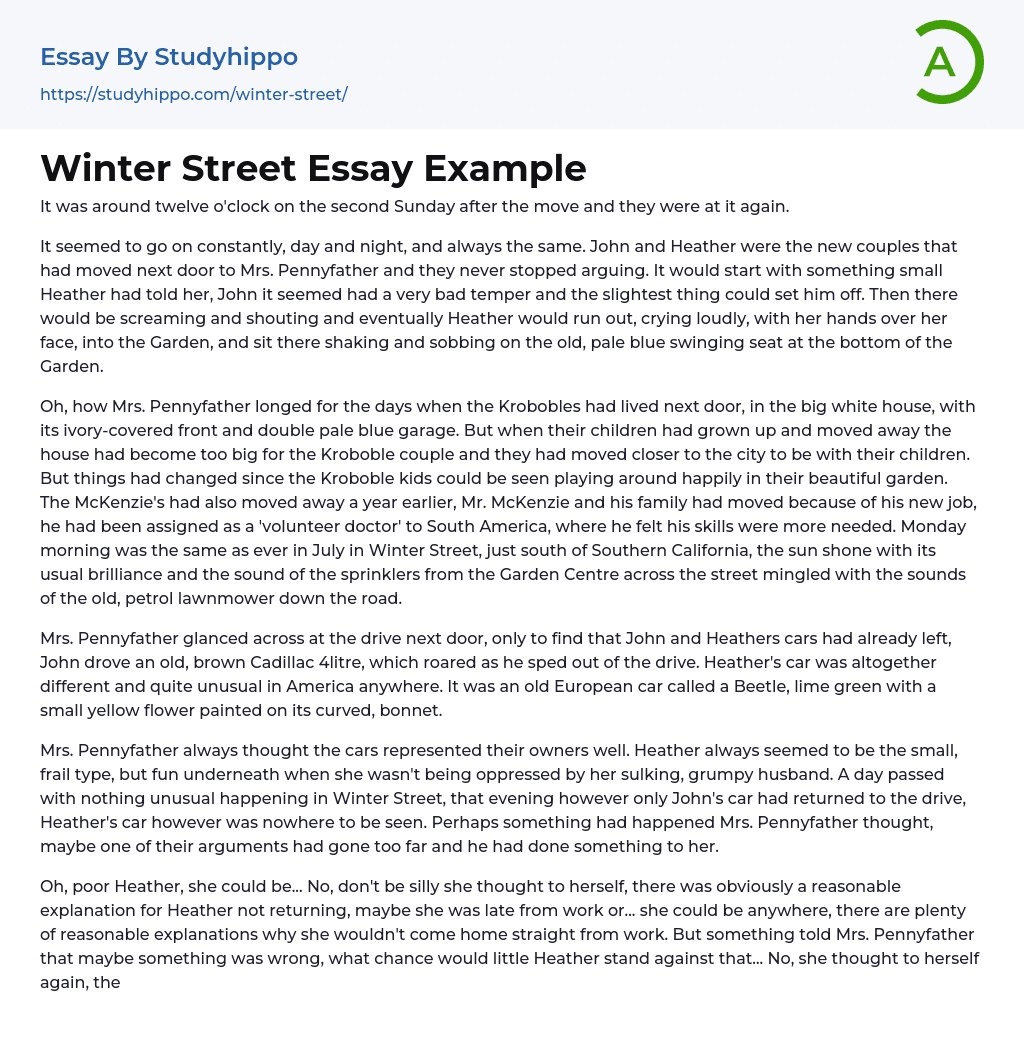Winter Street Essay Example