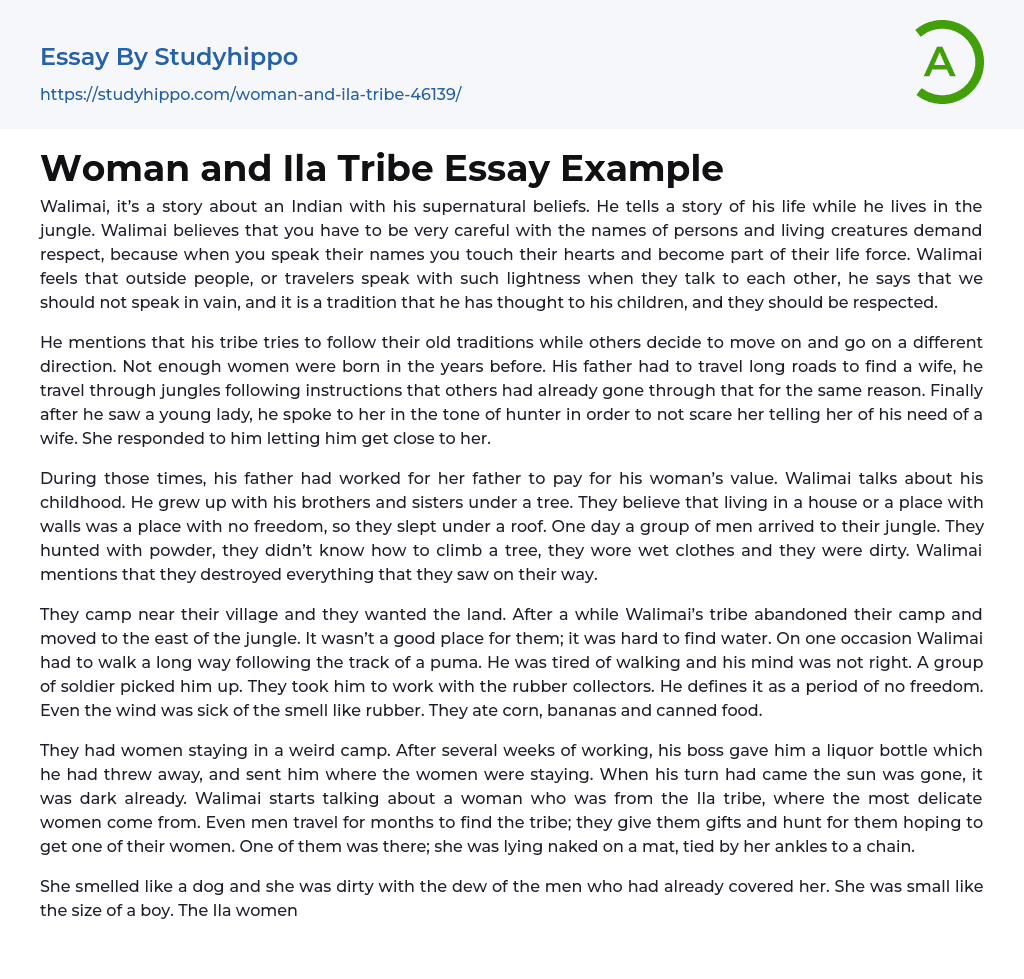 Woman and Ila Tribe Essay Example