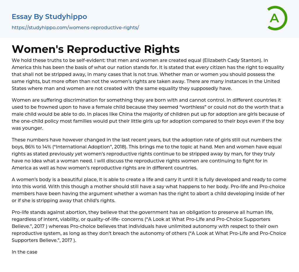 Women’s Reproductive Rights Essay Example