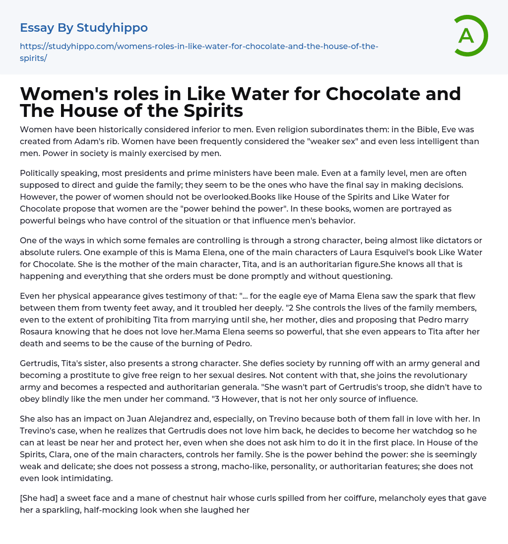 Women’s roles in Like Water for Chocolate and The House of the Spirits Essay Example
