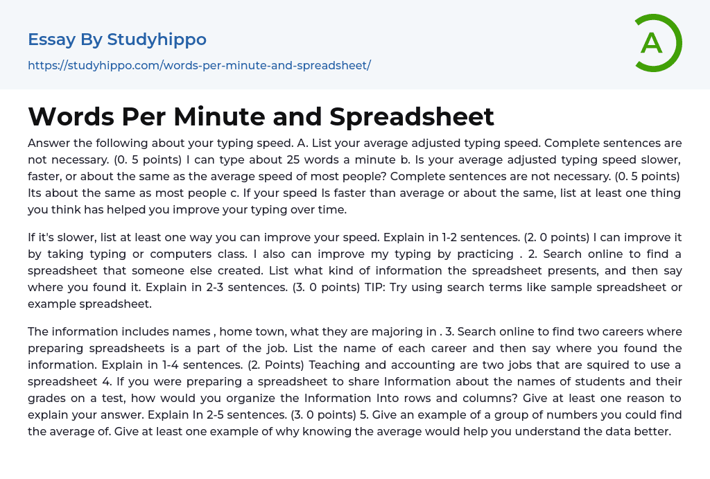 Words Per Minute and Spreadsheet Essay Example
