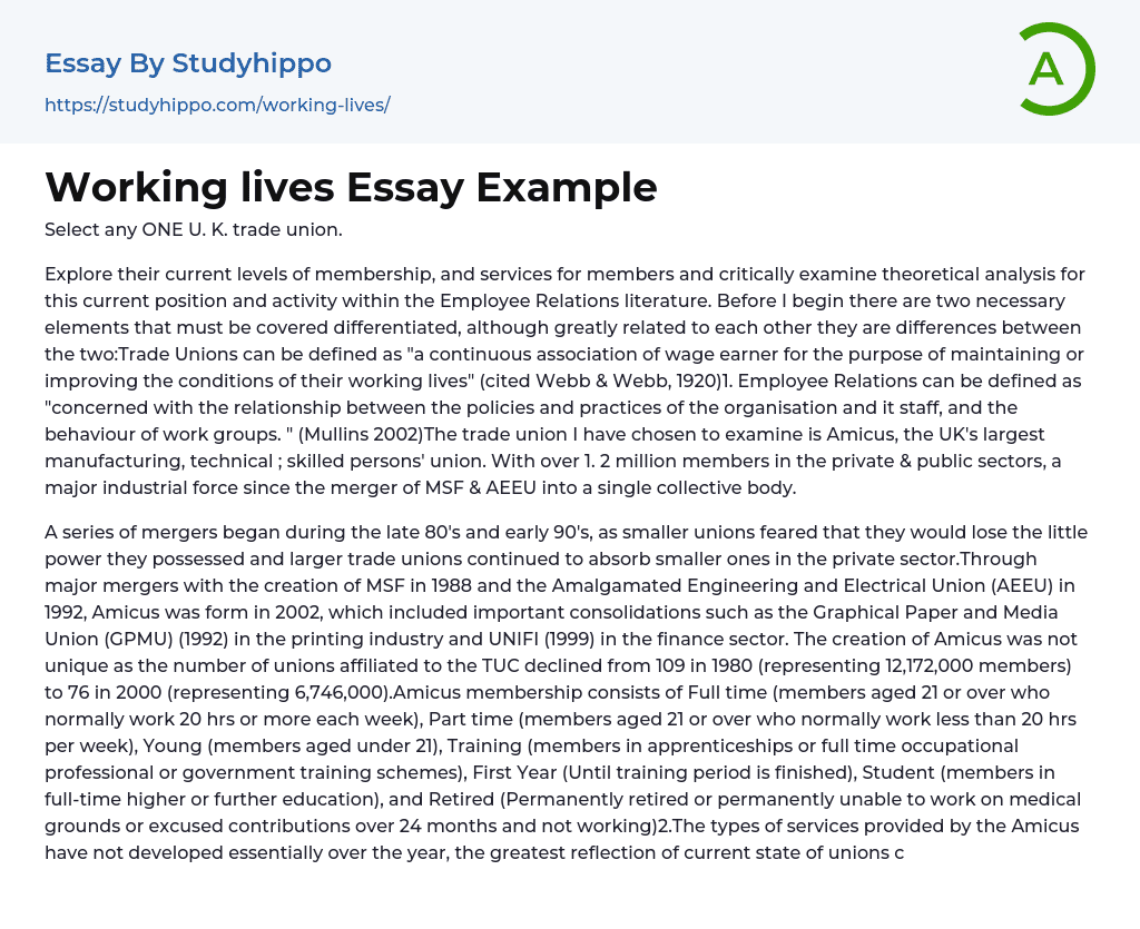 Working lives Essay Example