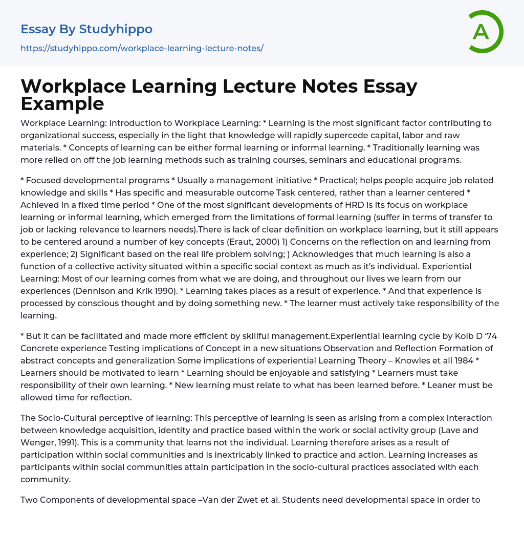 Workplace Learning Lecture Notes Essay Example