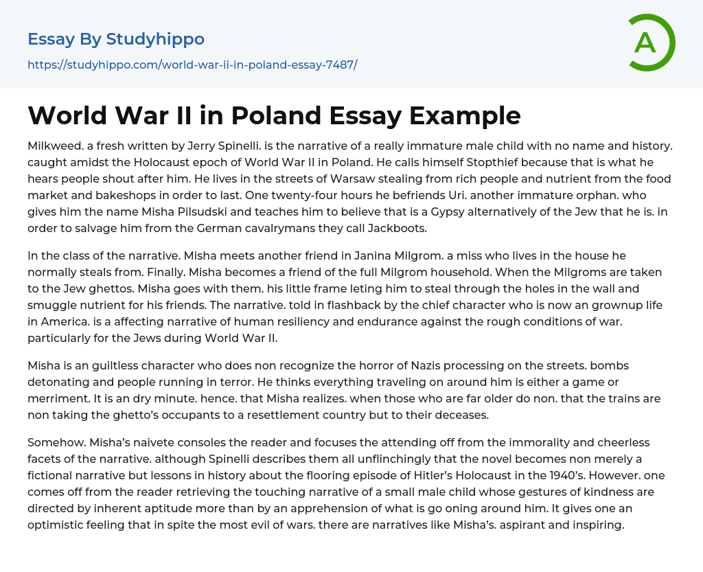 World War II in Poland Essay Example