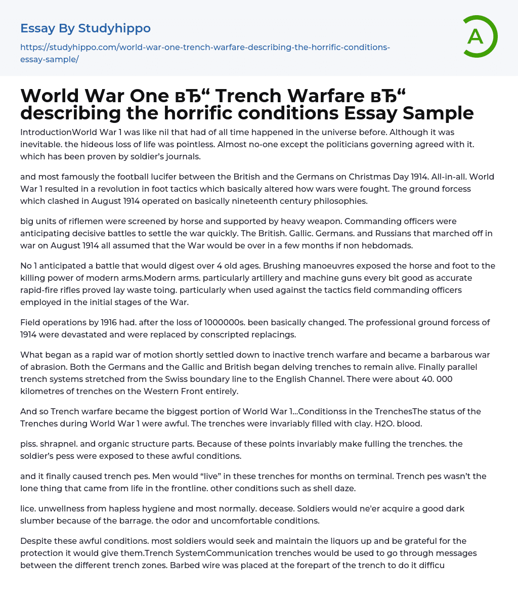 World War One Trench Warfare describing the horrific conditions Essay Sample