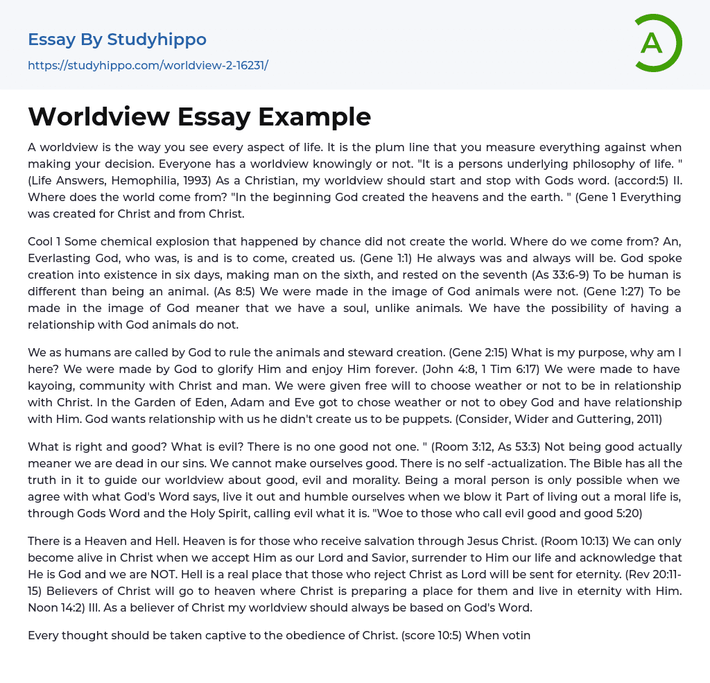 Worldview Essay Example
