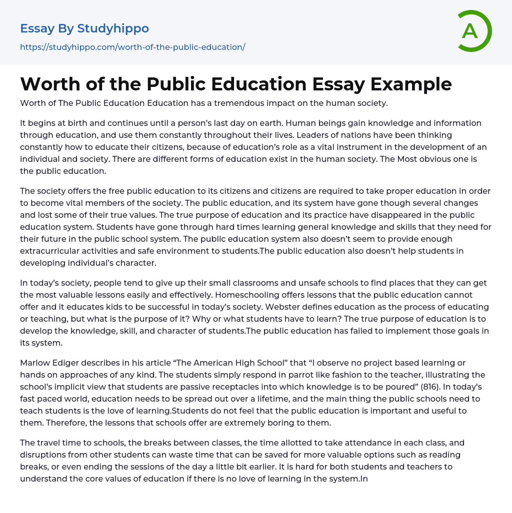 Worth of the Public Education Essay Example