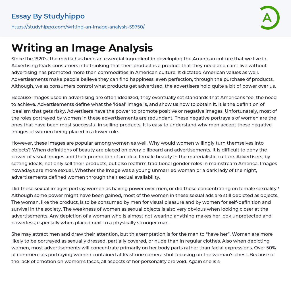 Writing an Image Analysis Essay Example