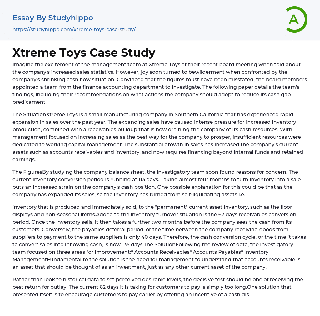 Xtreme Toys Case Study Essay Example