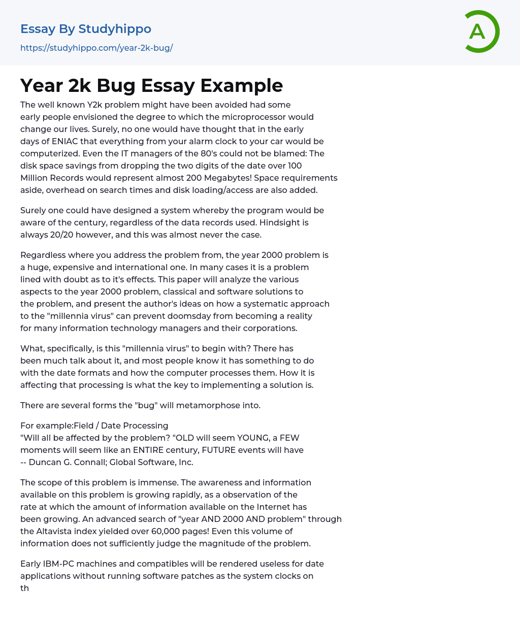 Year 2k Bug Essay Example