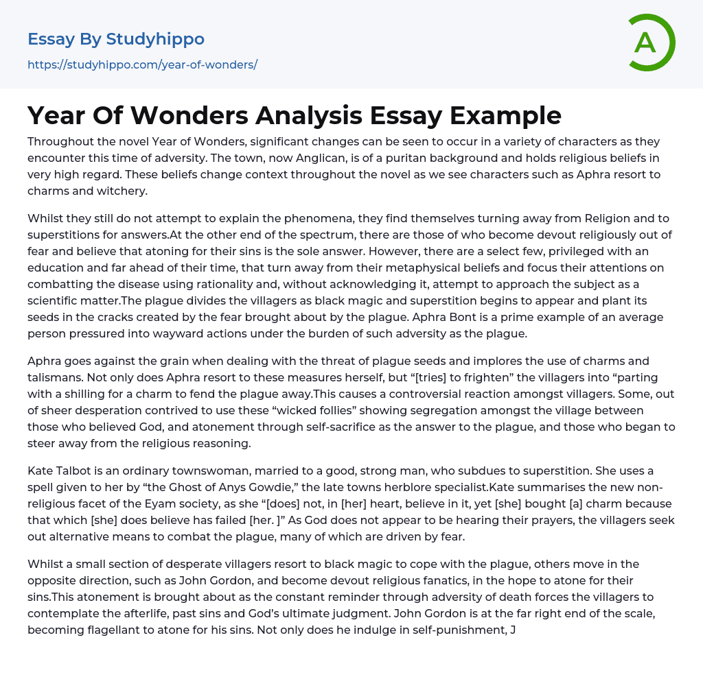 Year Of Wonders Analysis Essay Example