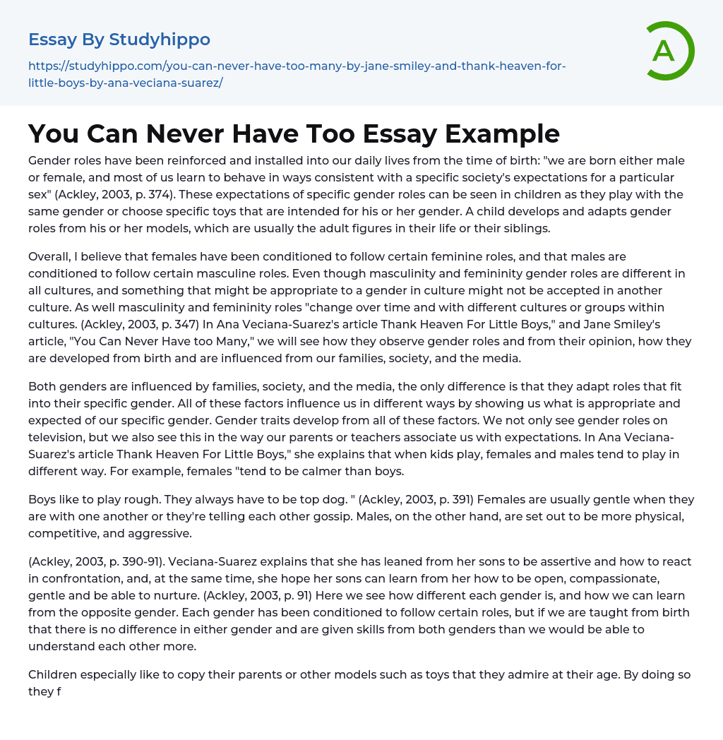 You Can Never Have Too Essay Example
