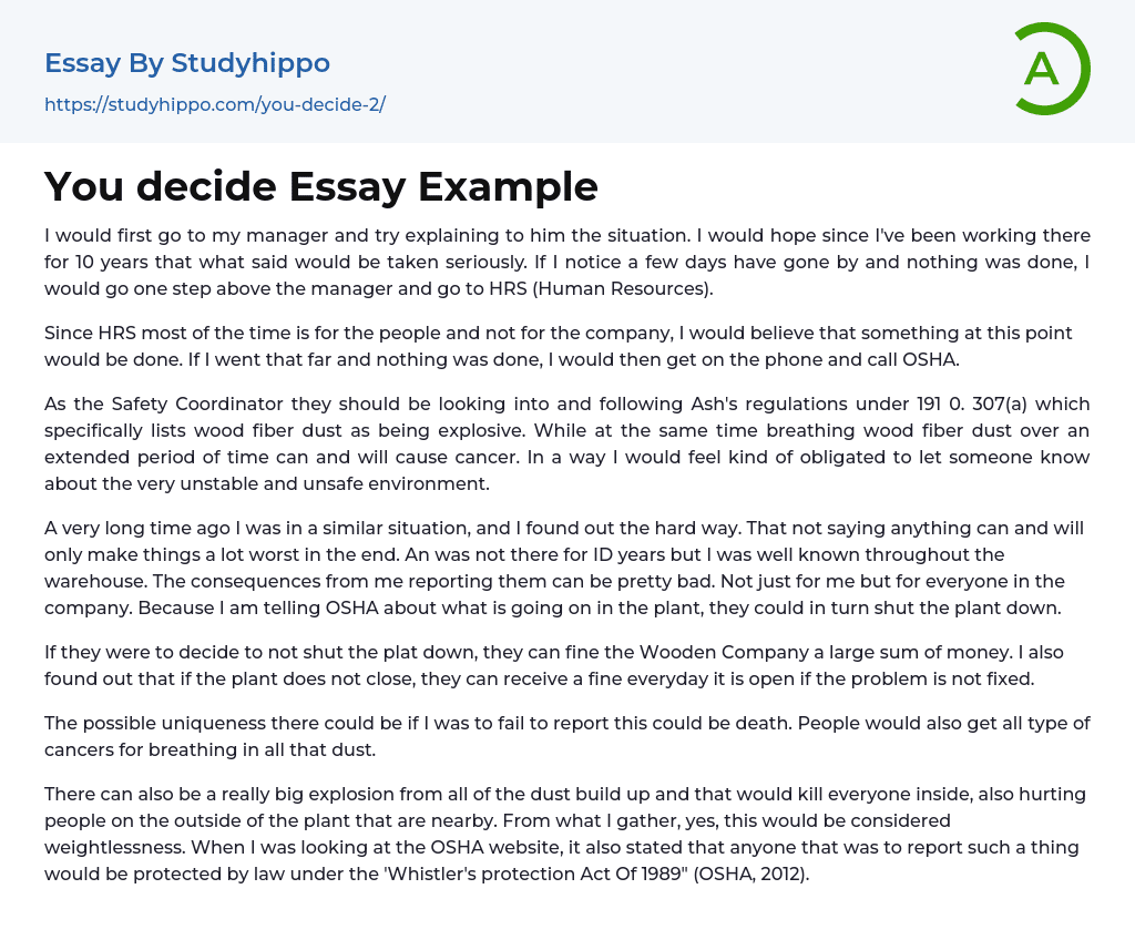 You decide Essay Example