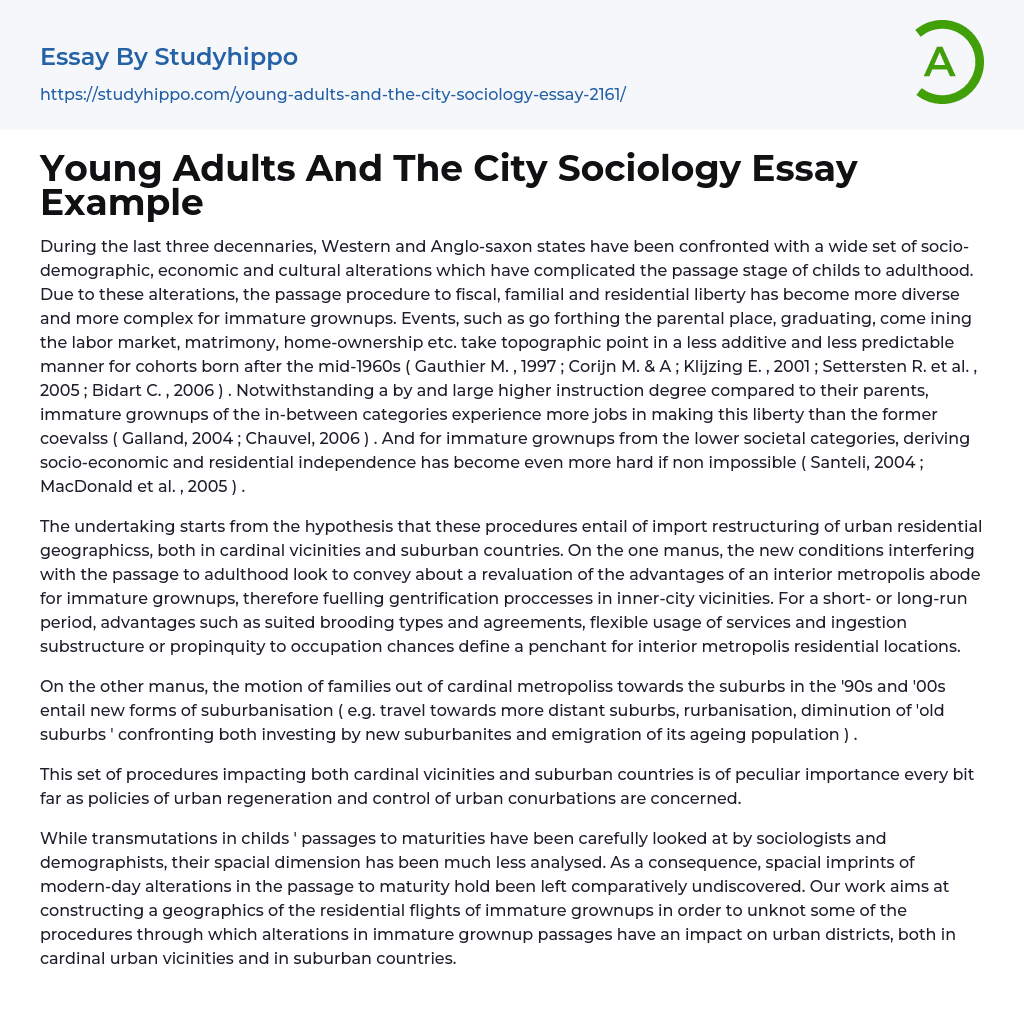 Young Adults And The City Sociology Essay Example