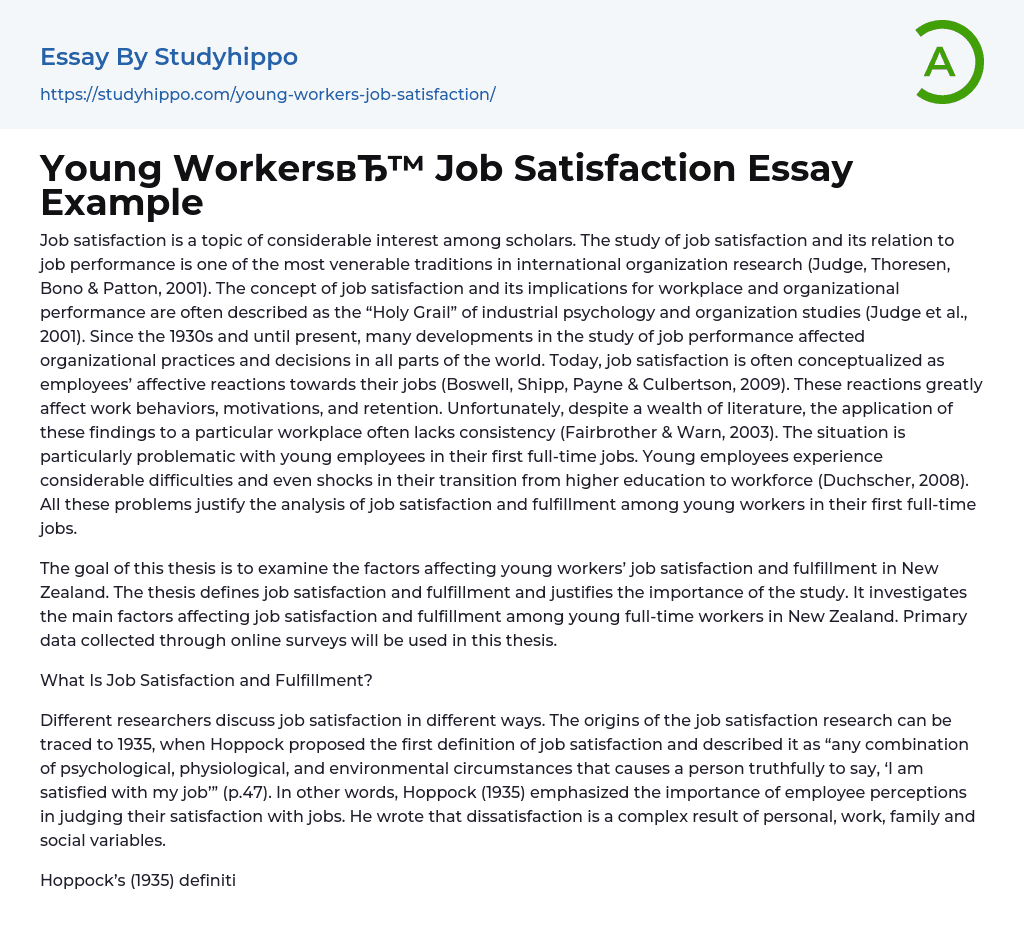 Young Workers Job Satisfaction Essay Example