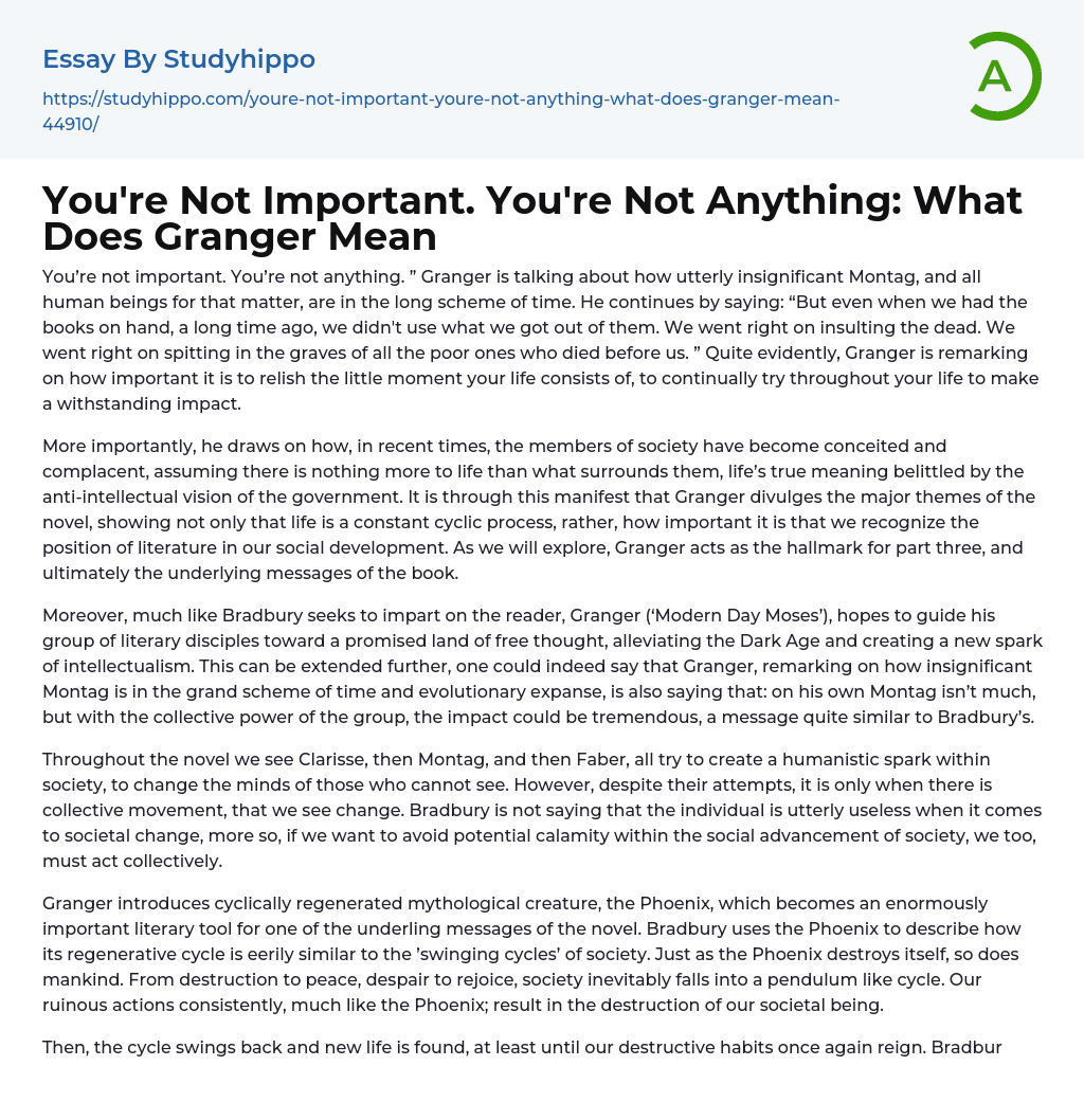 You’re Not Important. You’re Not Anything: What Does Granger Mean Essay Example