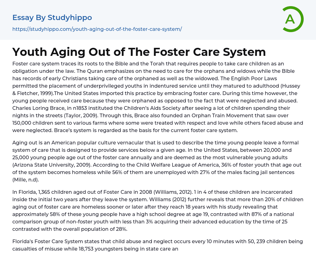 Youth Aging Out of The Foster Care System Essay Example