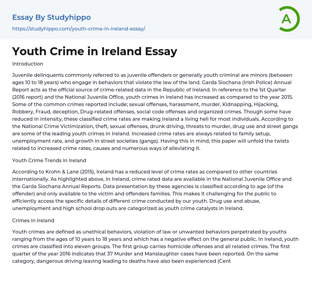 Youth Crime in Ireland Essay