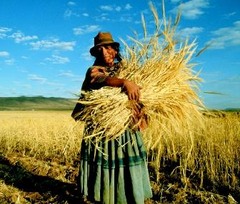 Approximately what percent of the population practices subsistence farming?