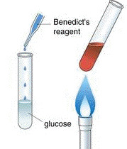 Benedict Solution - Test for Simple Sugars