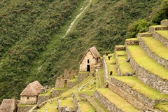 How did the Incas best influence modern day farming methods?
