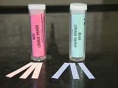 litmus paper