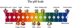 pH scale