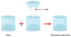 solubility