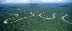 The Amazon jungle is the largest remaining expanse of tropical rainforest on Earth. In which country is most of the jungle located?