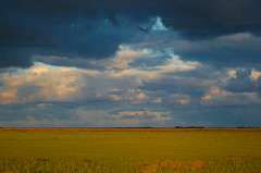 Very grassy plains, known as pampas, are found predominantly in what country?