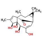 C20H28O5 structure