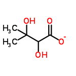 C5H9O4 structure