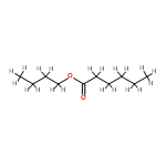 C10H20O2 structure