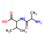 C8H16N2O3 structure