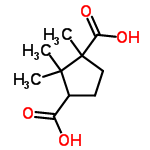 C10H16O4 structure