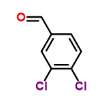 C7H4Cl2O structure