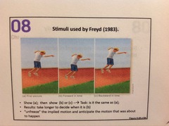 Stimulus used by Freyd