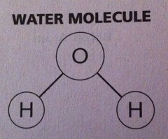 Compounds