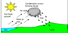 convection