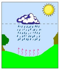 convectional precipitation