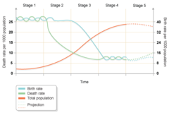 Demographic Transition Model