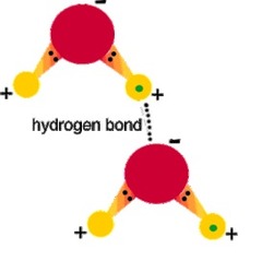 Hydrogen bond