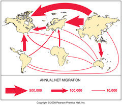 Net Migration