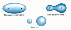 Non-polar molecule