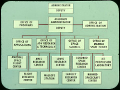 Organizational Chart